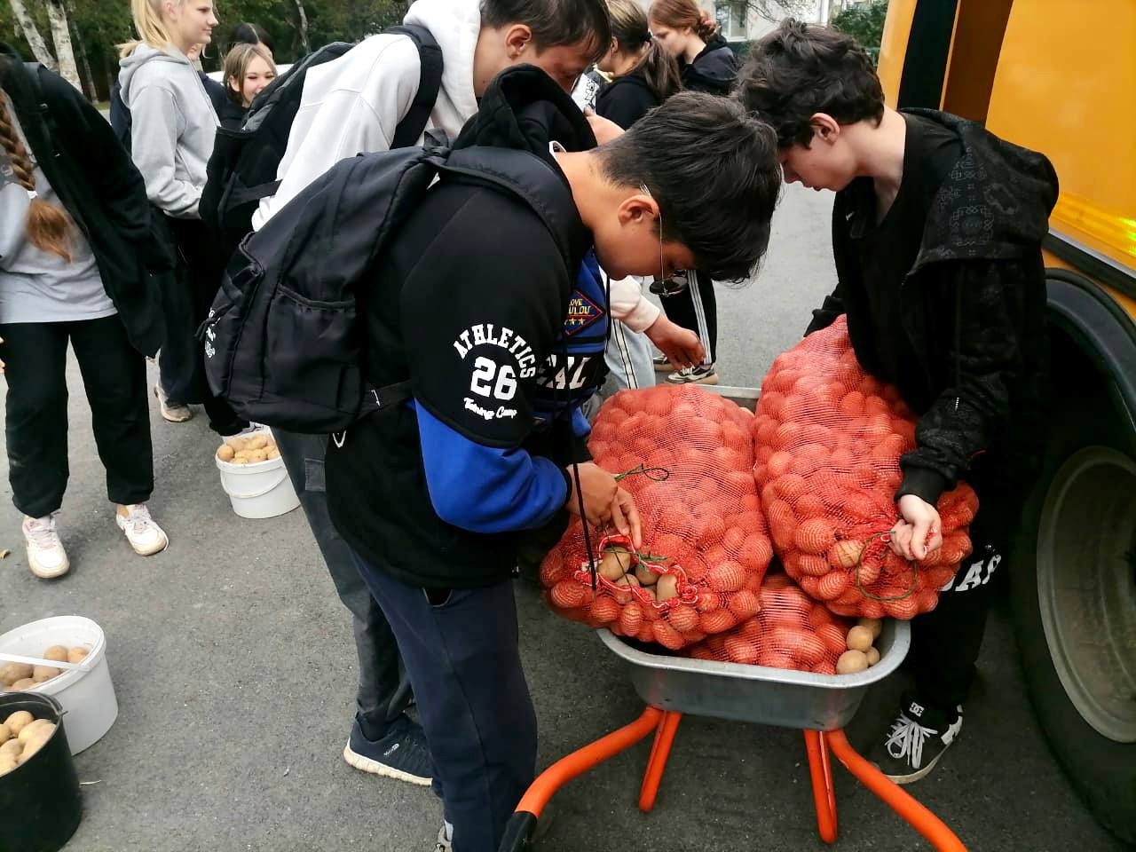 Социальное партнерство в школе.