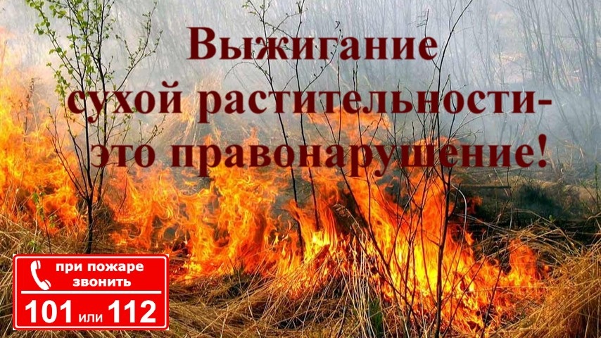 Напоминаем требования                                                                                                                      Пожарной безопасности на территории населённых пунктов.