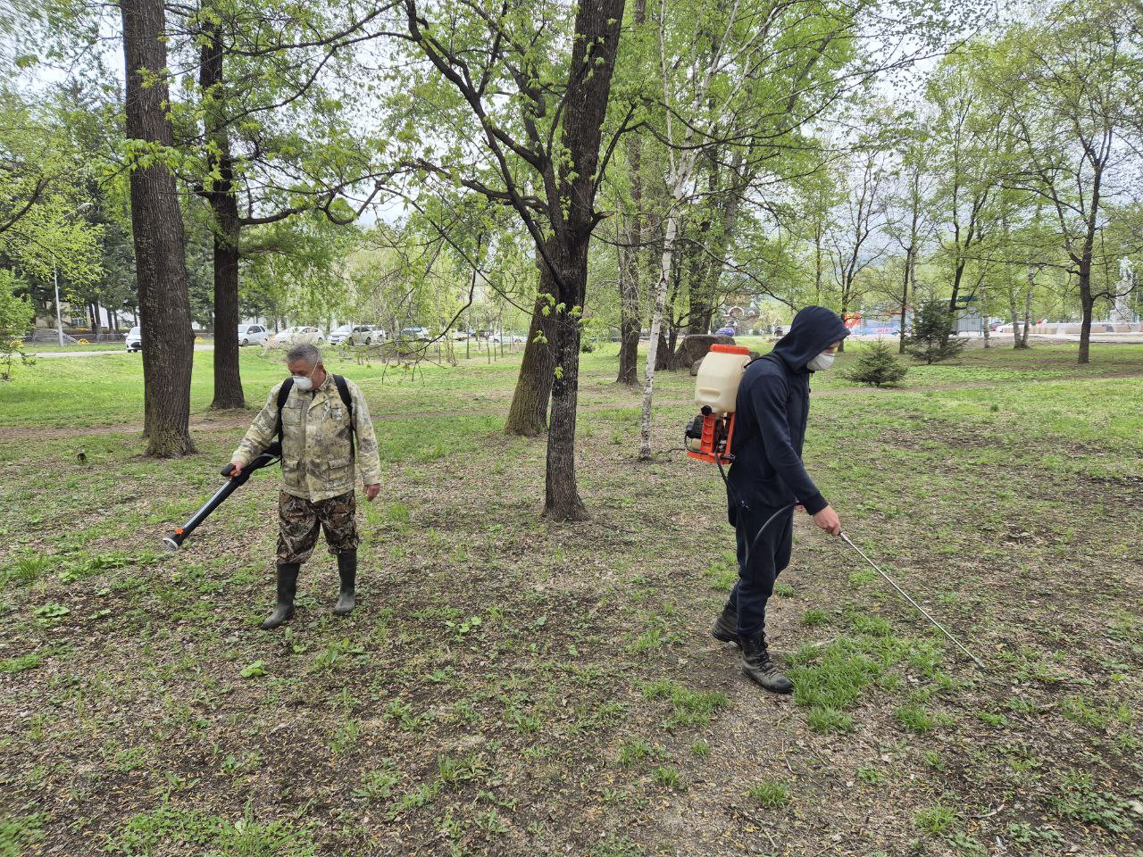 Кладбища, парки и скверы Кавалеровского округа обработают от клещей.