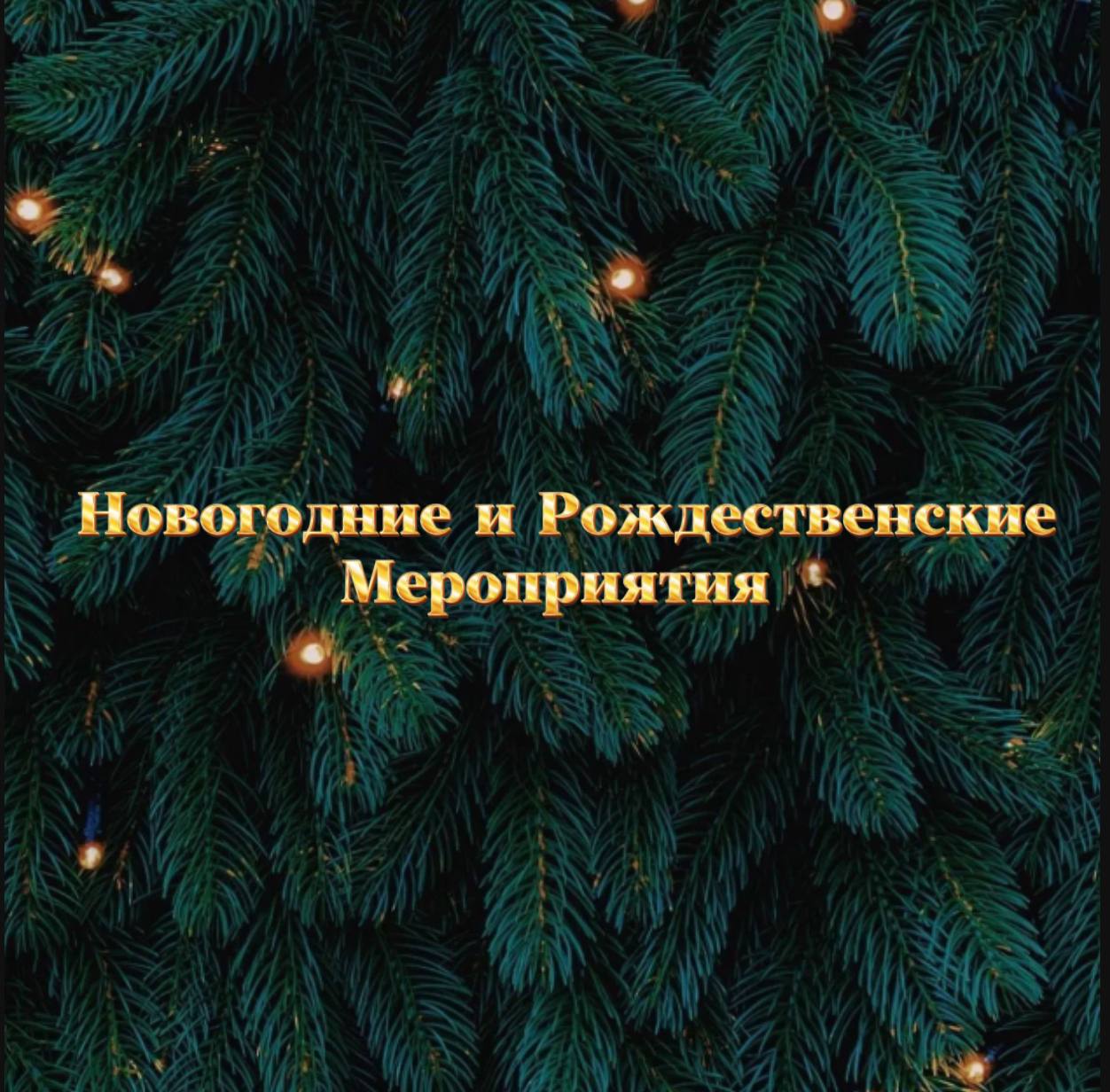 Новогодние и Рождественские Мероприятия в Кавалеровском Муниципальном округе!❄️⭐️✨.