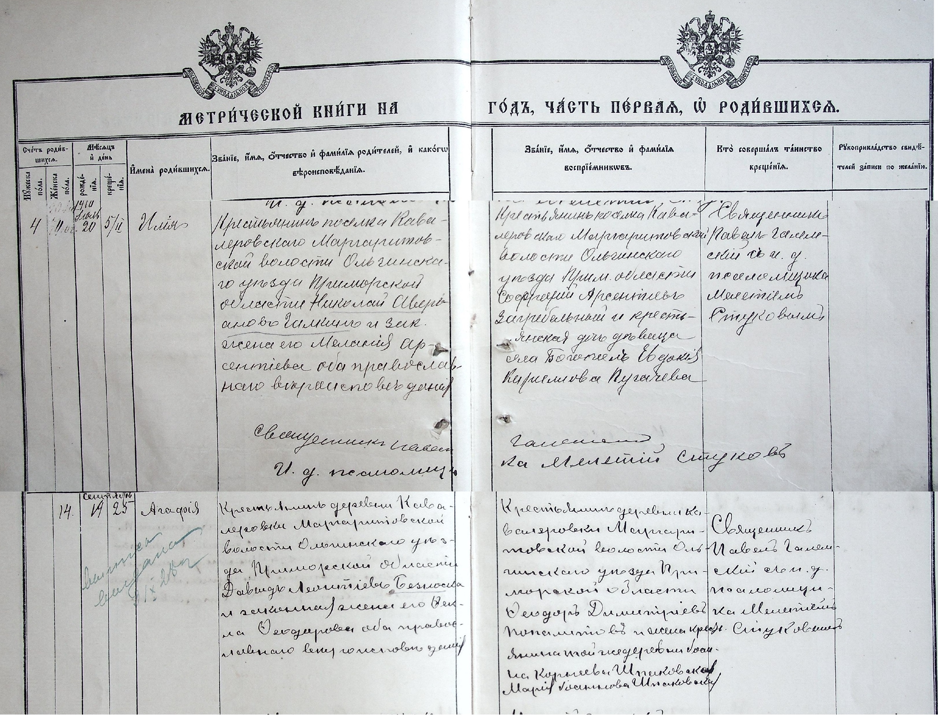 Малыши на земле кавалеровской рождаются уже 115 лет!.