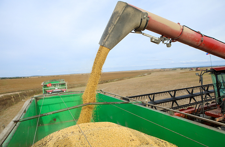 На 4% увеличат экспорт агропродукции из Приморья по нацпроекту. На 4% увеличат экспорт агропродукции из Приморья по нацпроекту.